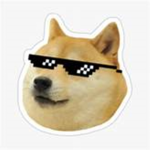 DOGE DIRECTIONS