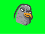 pigeons gaming