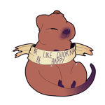Quokka