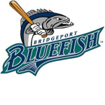 Bridgeport Bluefish