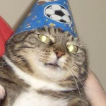 Secret Wizard Society