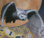 Cathedral of the Owls