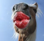 L¡pgloss