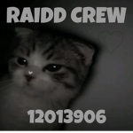 RAID CREWW