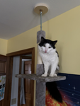 Cameraman, gizm01027,Fanofamongus03,SinsterPresent