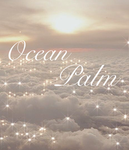 ocean palm aesthetics