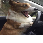 Irineuufgbbnnb