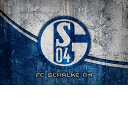 FC Schalke 04 PITCH