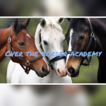 Over the border academy