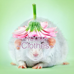-~icon clothing~-
