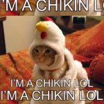 The CatsChickens Team Fan Club