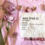Aestheticccc Clothing