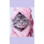 faryfacetema