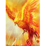 The phoenix groop
