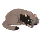 Sad-Cat