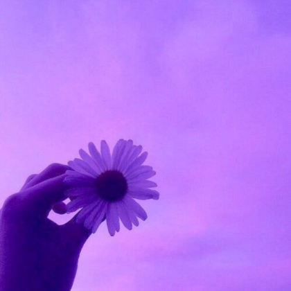Purple Roblox decal