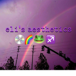 Eli’s Aesthetics
