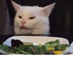 Sp0iled M¡lk