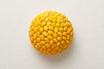 Corn Ball Studios