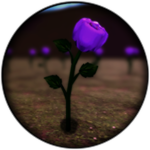 Violet Concept