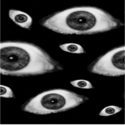 👁