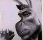 Chunky_monkeys