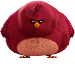 Defend from big Bird