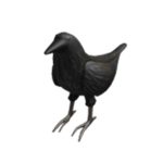 TEAM CROW GROUP