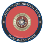Fleet Marine Force 1965s