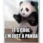 Da Cools