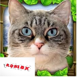Cat Simulator #