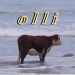 olli