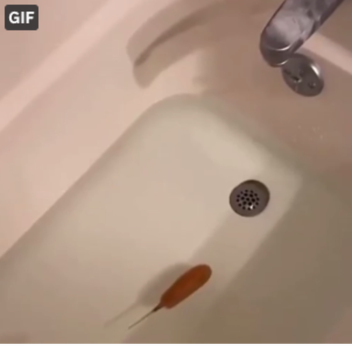 Tower of Gateway Protocol