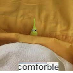 Worm Cult Home Store