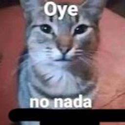 juego normal con cosas normales