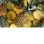 Robuxxxxxxxxxxxxxxxxxxxxxxxxxxxxxxxxxxx