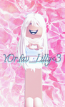 Lillys Stars
