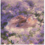 ..+*Euphoria*+..