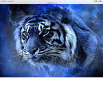 Galaxy tiger group