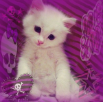 RobuxPink