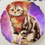 The cat miau