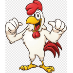 AYAM TEAM