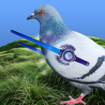Your Local Pigeons