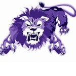 The Lions Volleyball Team