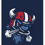Buffalo Bills NFL team