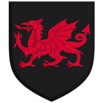 Black Dragon Infantry