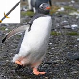 Penguin Wars