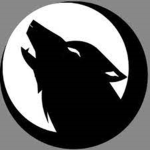 Knights Wolves
