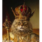 |CE| Cat Empire