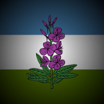 Northwest American Republic